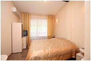 Гостиница Орион Белокуриха Номер стандарт с 1 двуспальной кроватью-7